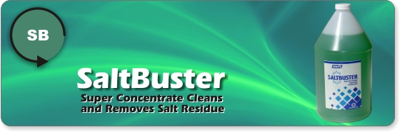 Saltbuster Salt Remover and Cleaner